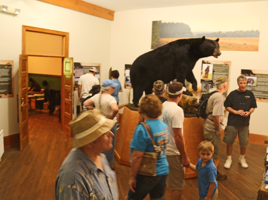 Bear-Ology-Plymouth必去景点