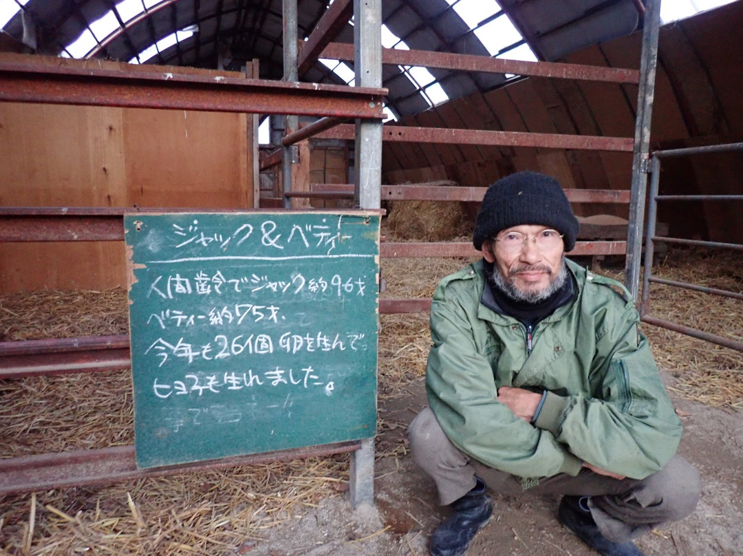 Okhotsk Emu Pasture-网走市必去景点