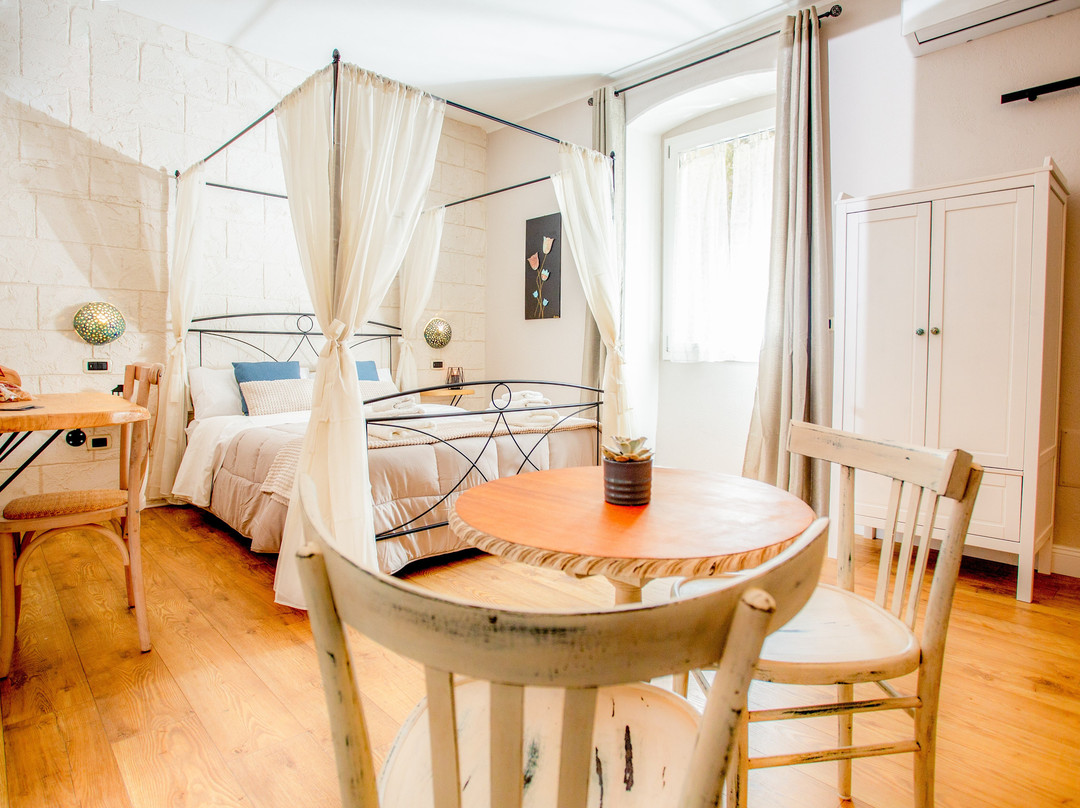 L'Accademia dei Sogni主图