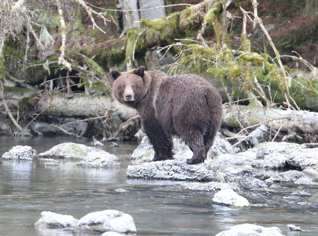 Chilkoot Lake State Recreation Area-海恩斯必去景点