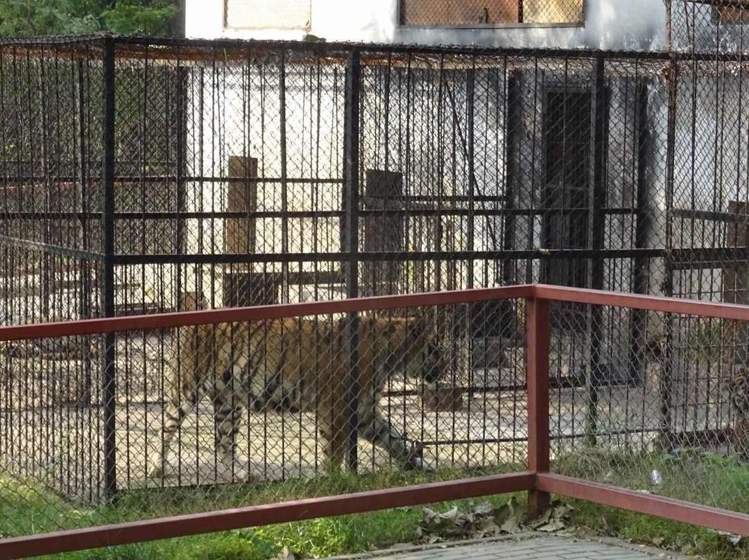 相山公园-淮北市必去景点