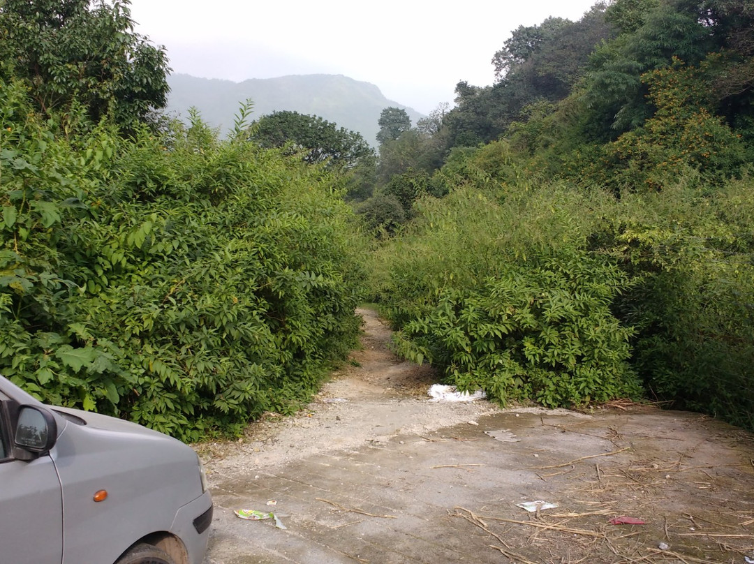 Jharipani Waterfall-马苏里必去景点
