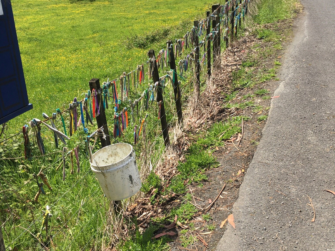 The Toothbrush Fence-汉密尔顿必去景点