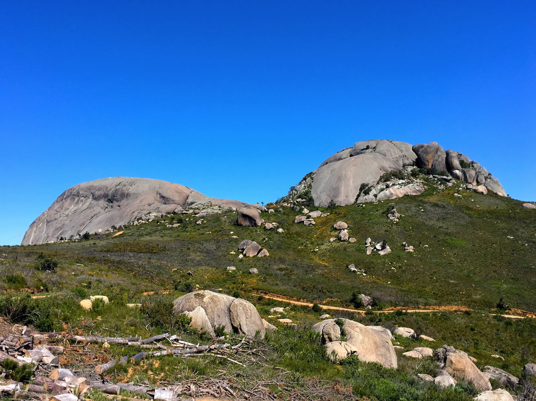 帕尔旅游景点-Paarl Mountain Nature Reserve