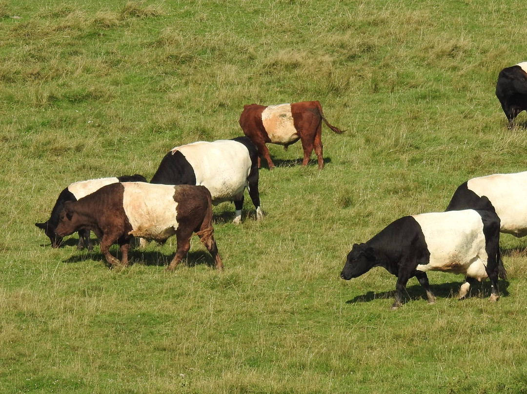 Dakeyne Farm-Falmouth必去景点