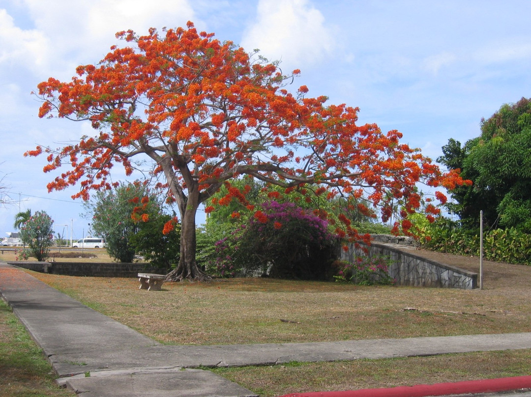 Sirena Park-阿加尼亚必去景点