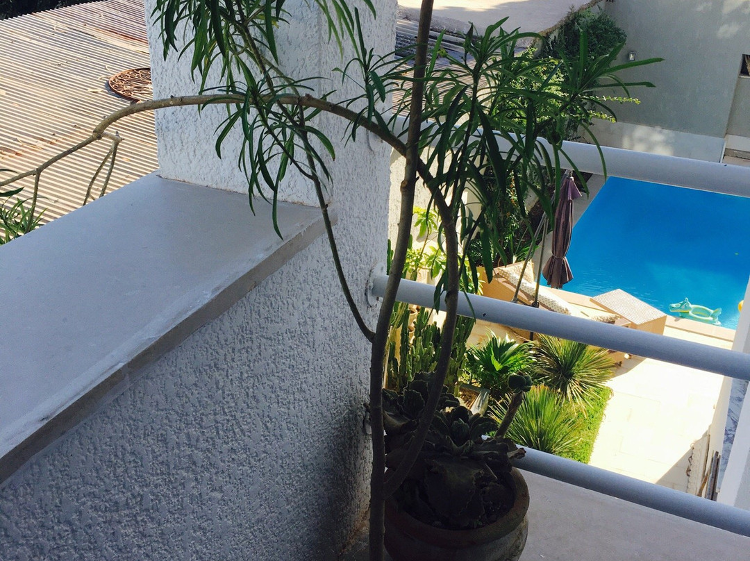 Villa Punique Sidi Bou Said主图