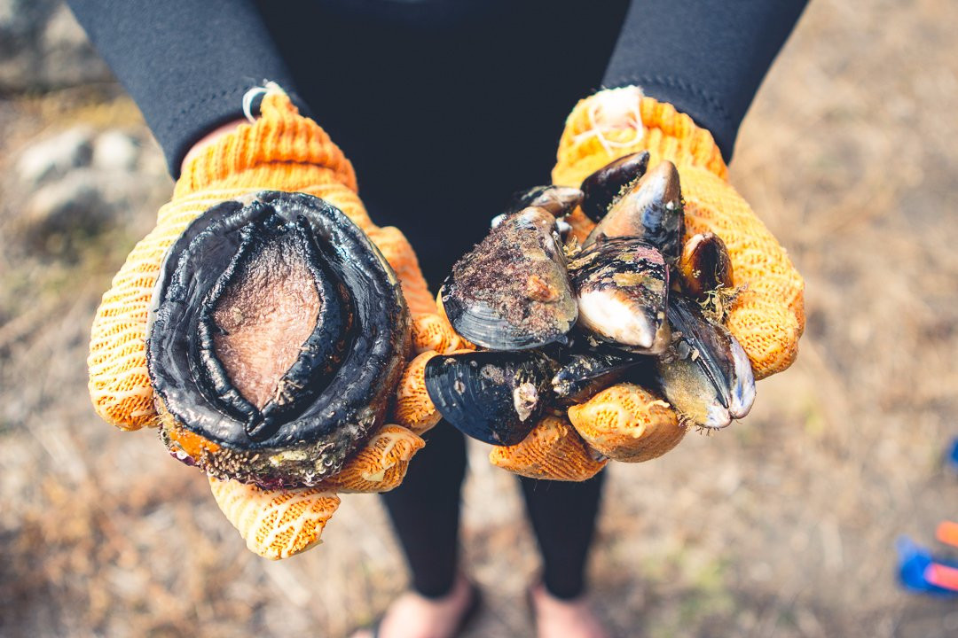 Australia's Coastal Wilderness Adventures-伊登港必去景点