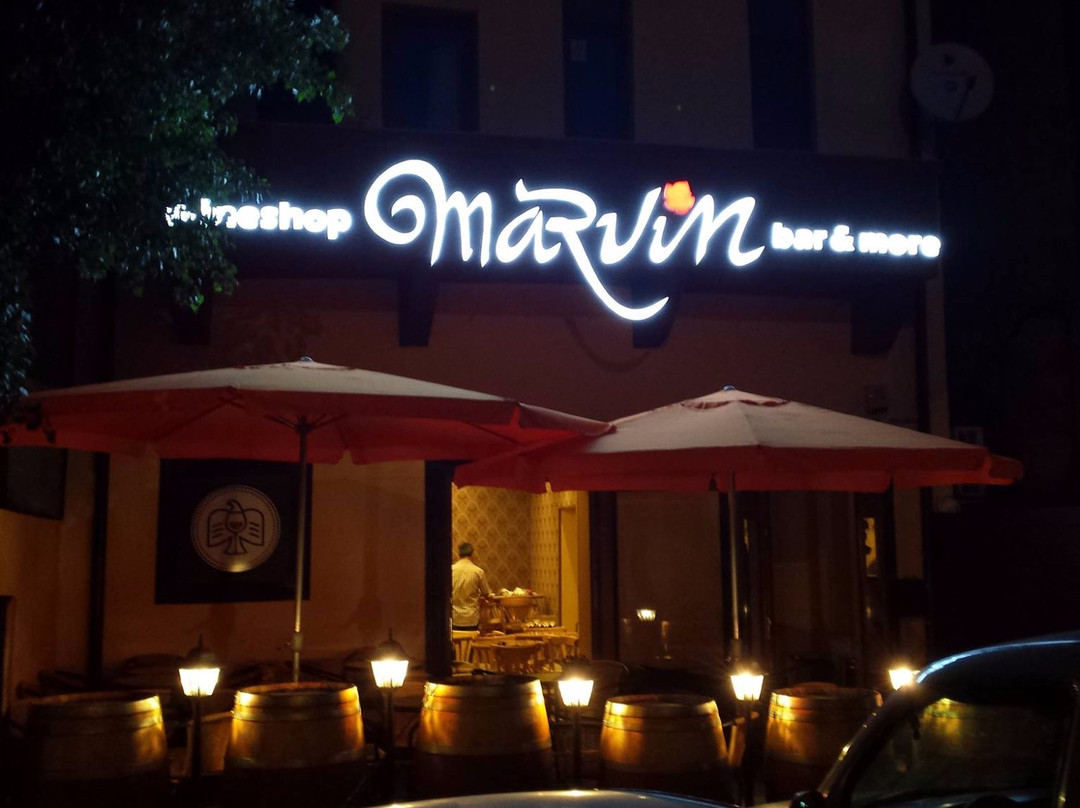 Marvin WineShop景点图片