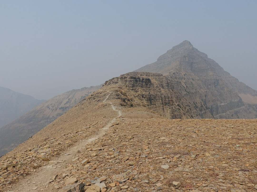 Dawson Pass and Pitamakan Pass Loop景点图片