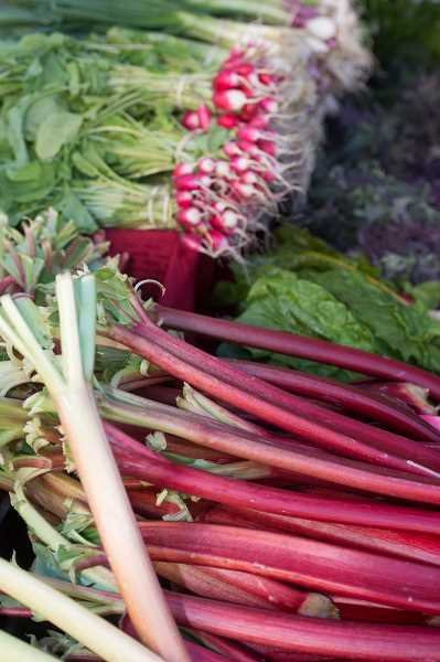 Forest Grove Farmers Market-Forest Grove必去景点