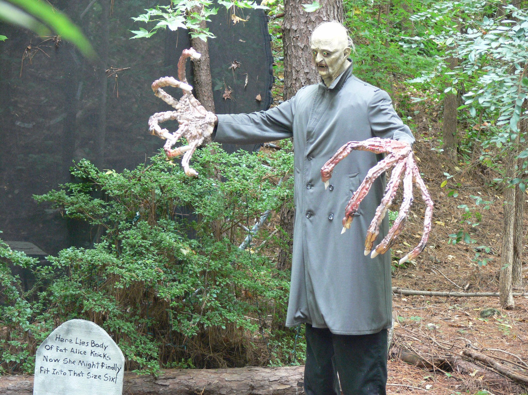 Lake Peachtree-桃树市必去景点