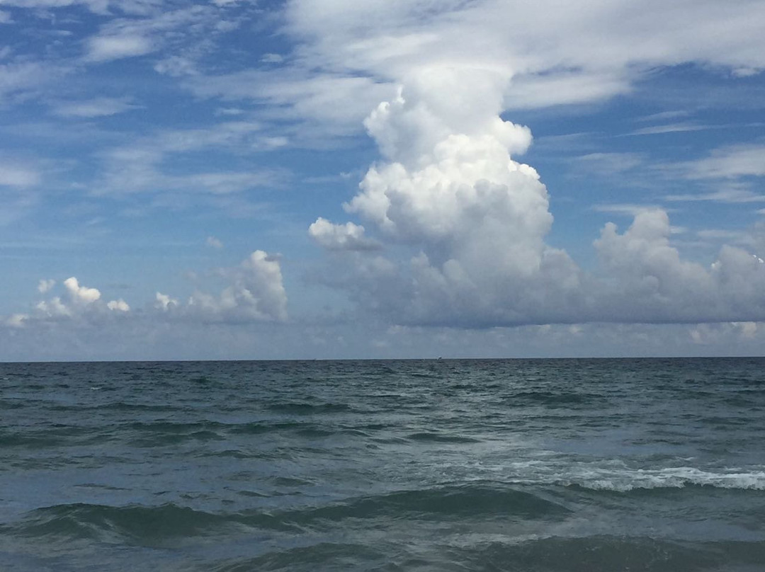 Atlantic Dunes Park-德拉海滩必去景点
