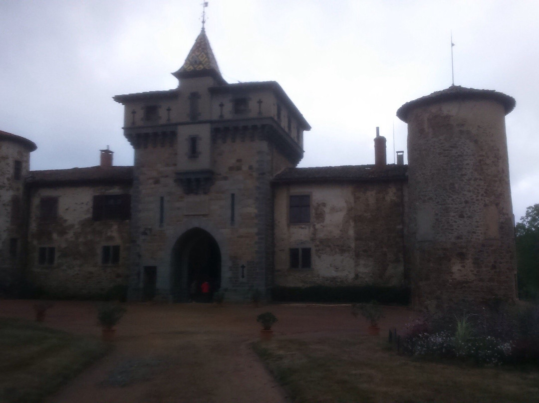 Château de Saconay景点图片