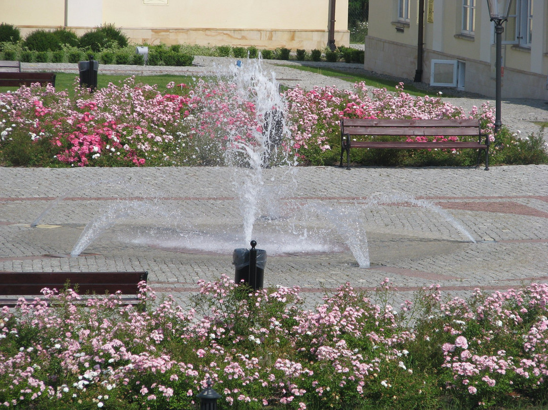 Lezajsk County Museum景点图片