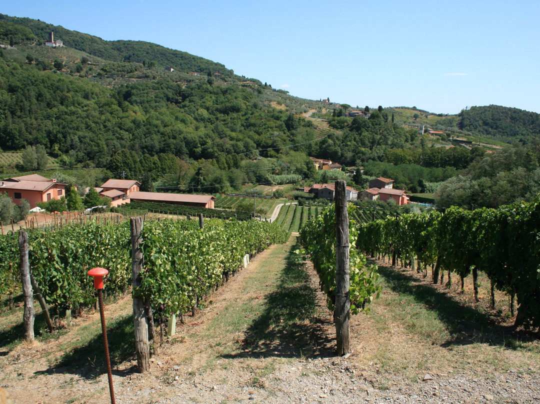 Azienda Agricola Greo景点图片
