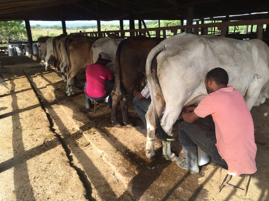 Rancho Los Cacaos-Maimon必去景点