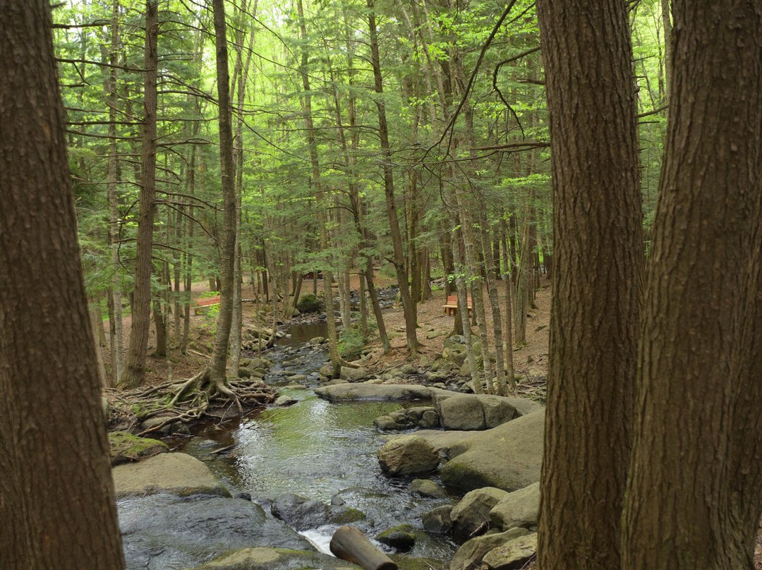 Parc écologique Jean-Paul Forand景点图片