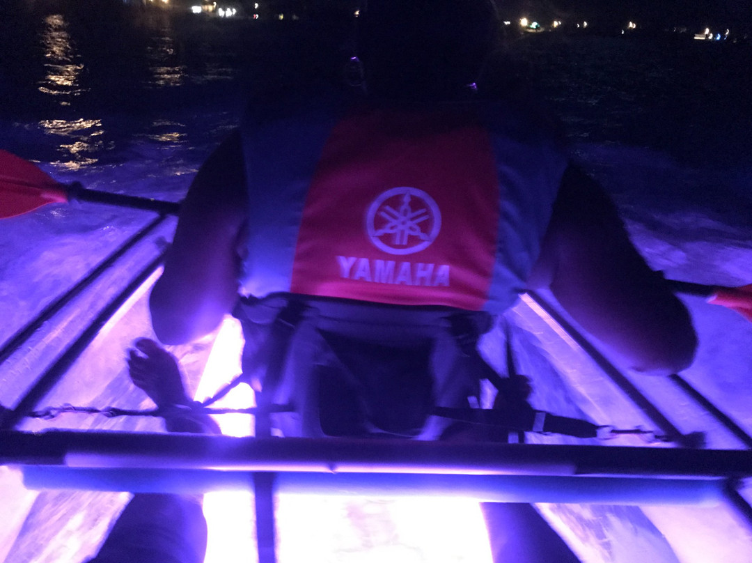 Liquid Glow-Island Harbour必去景点