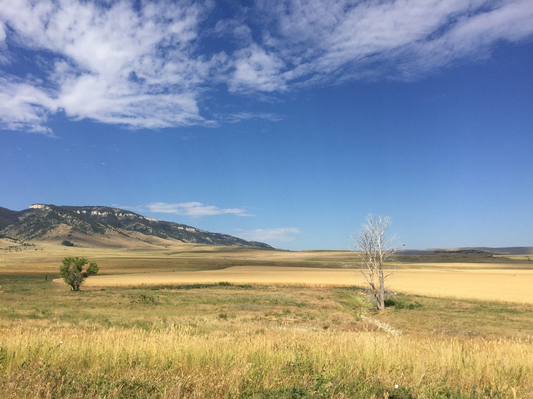 Pryor Mountains-比灵斯必去景点