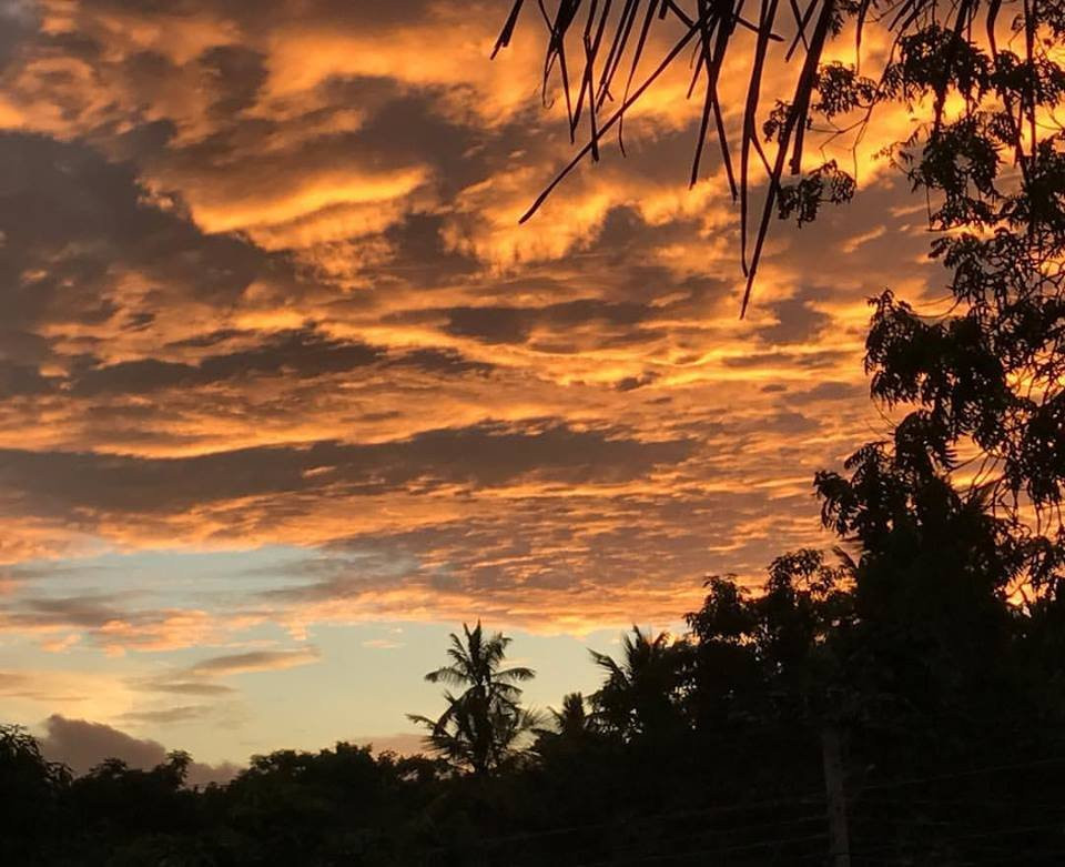 Tuk Tuk Wild Safari Tangalle-唐卡拉必去景点