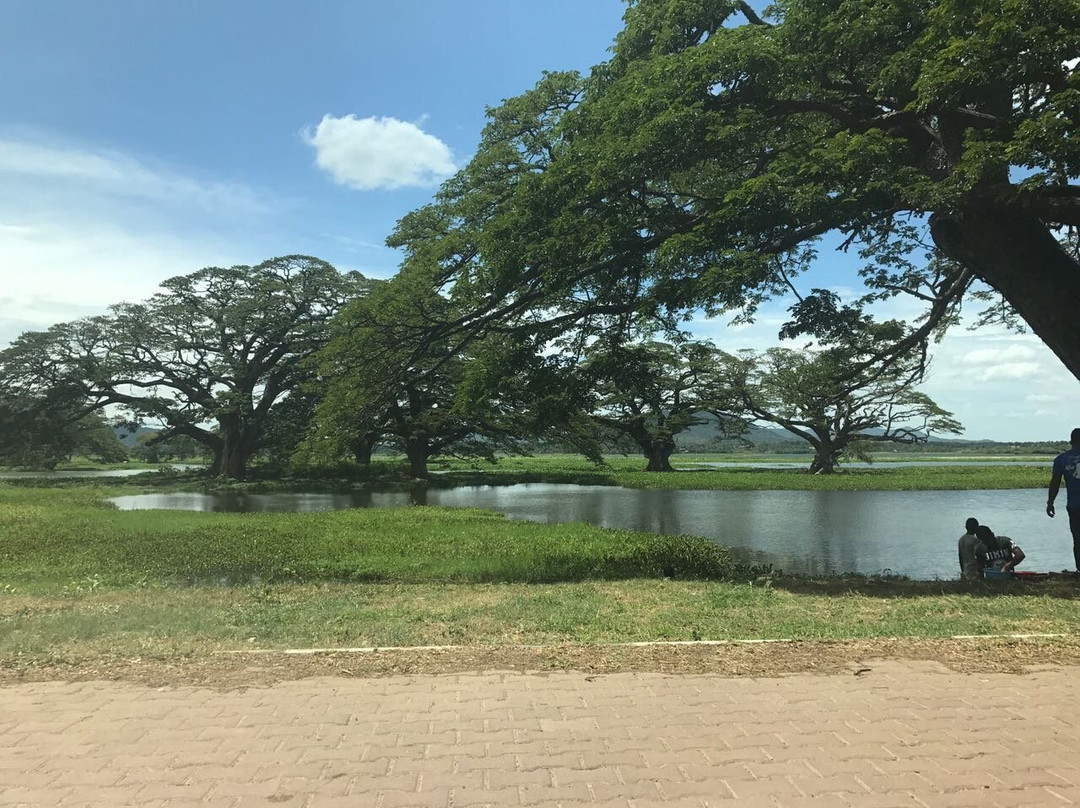 Bundala Safari And Village Experience-蒂瑟默哈拉默必去景点