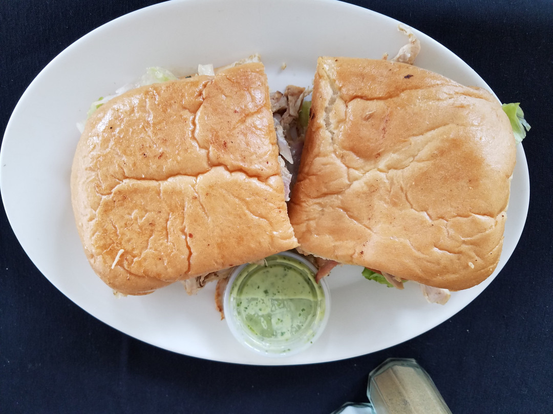 Roasting Oven & Grill