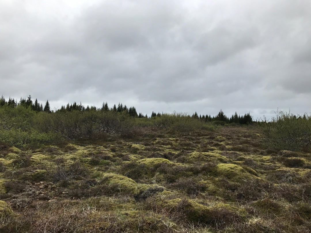 Heidmörk Nature Reserve-雷克雅未克必去景点