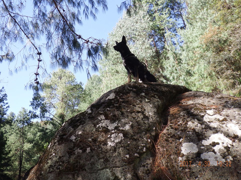 Potrero del Llano旅游攻略图片