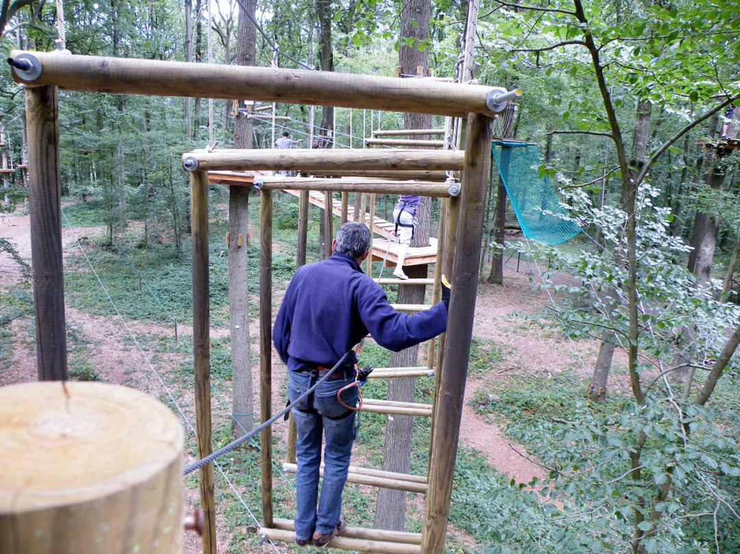 Cariwood景点图片