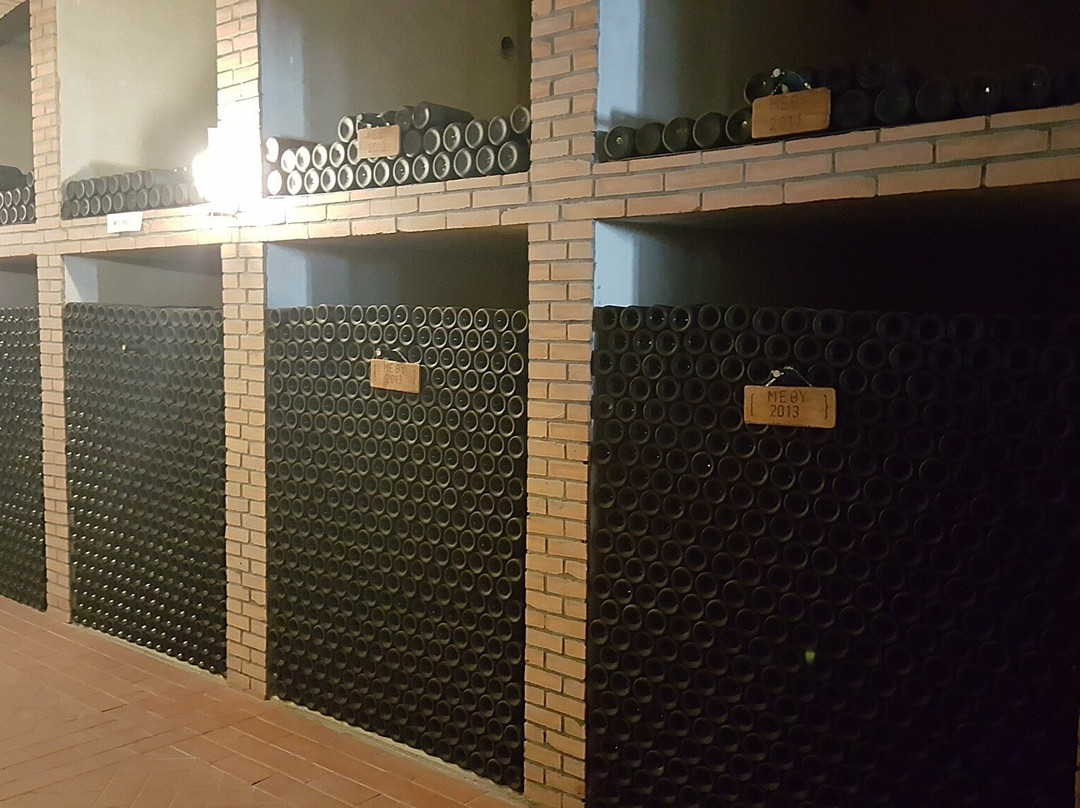 Vasilikon winery-卡西卡斯必去景点