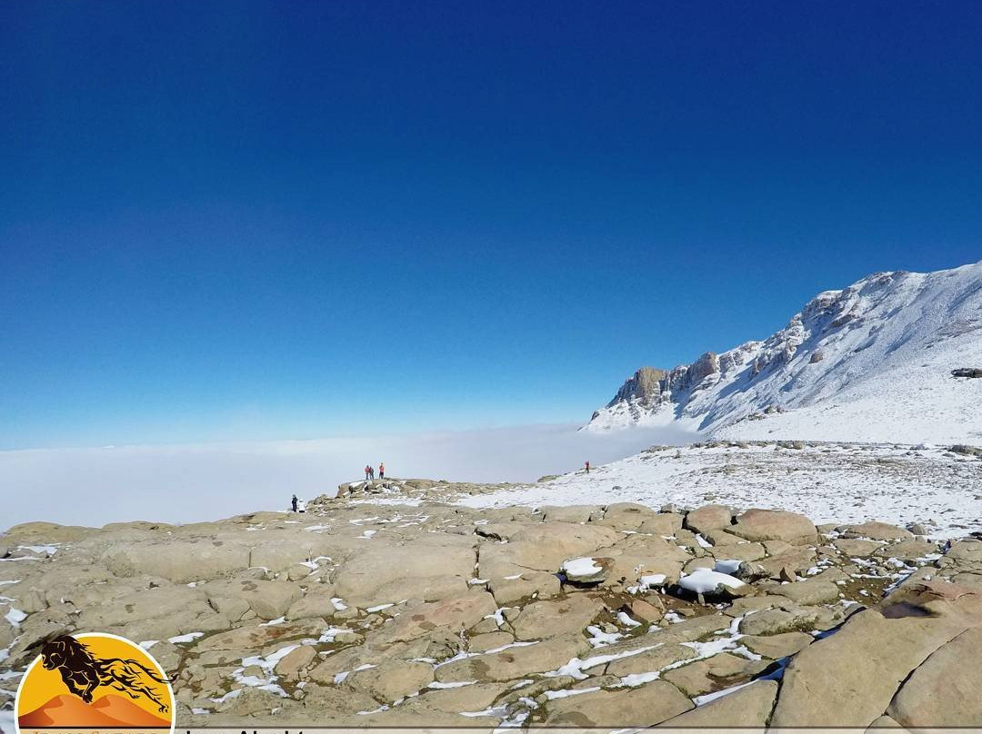 Iran Safari Tour景点图片