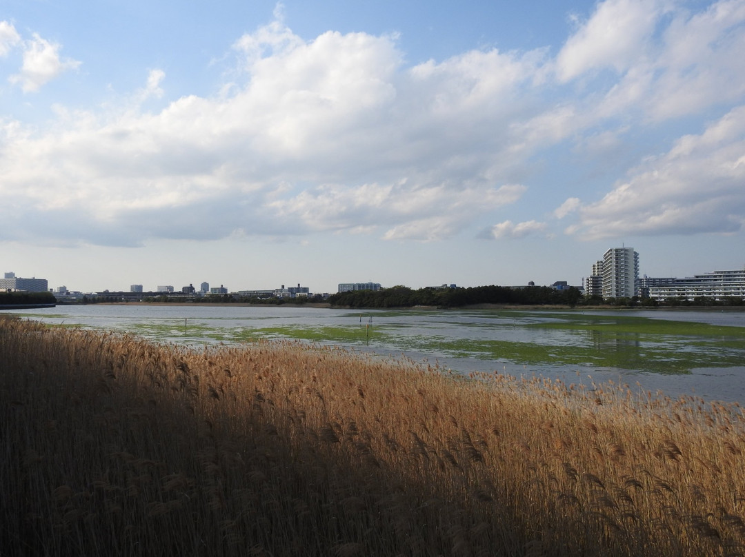 Yatsu Tidal Flats-习志野市必去景点