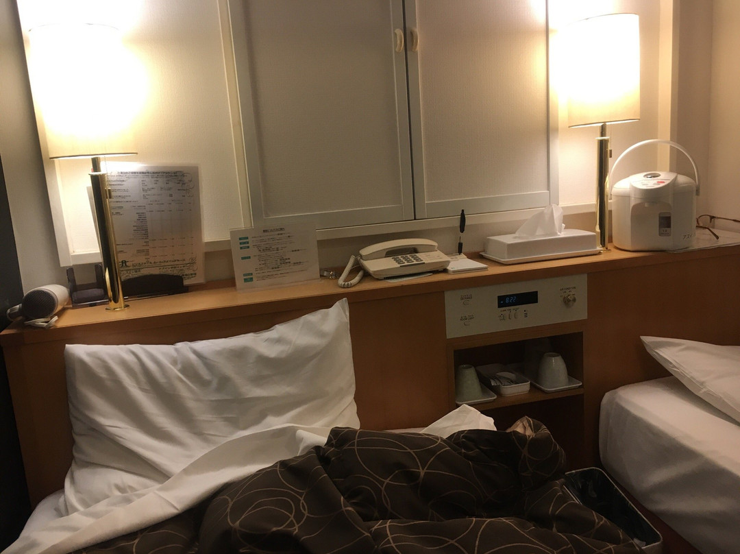 阿兹半田间酒店主图