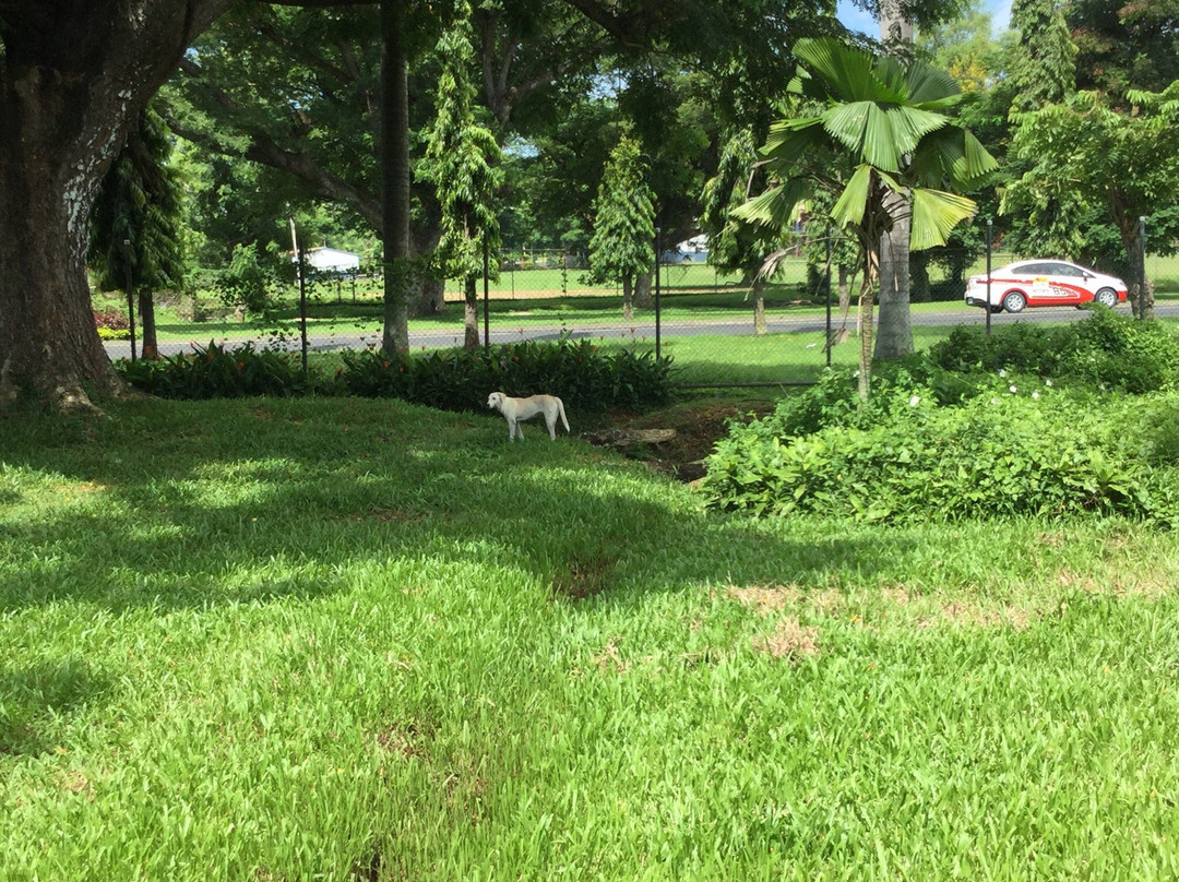 Botanical Gardens-劳托卡必去景点