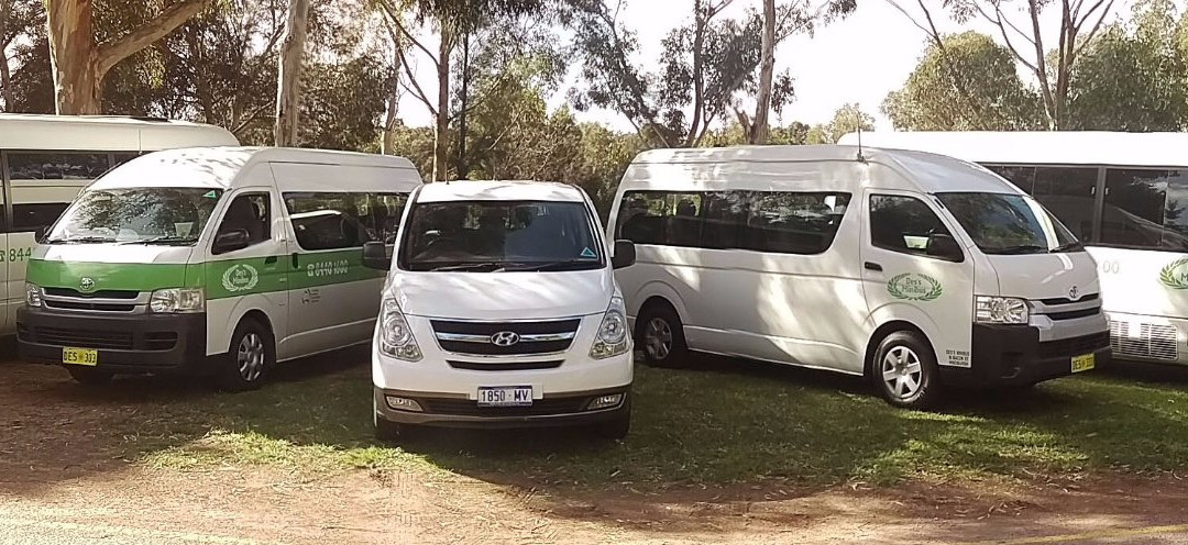 Des's Minibus景点图片