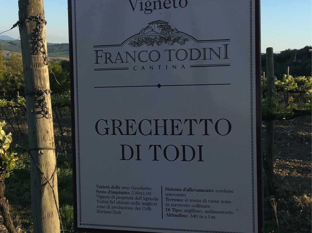 Cantina Todini-托迪必去景点