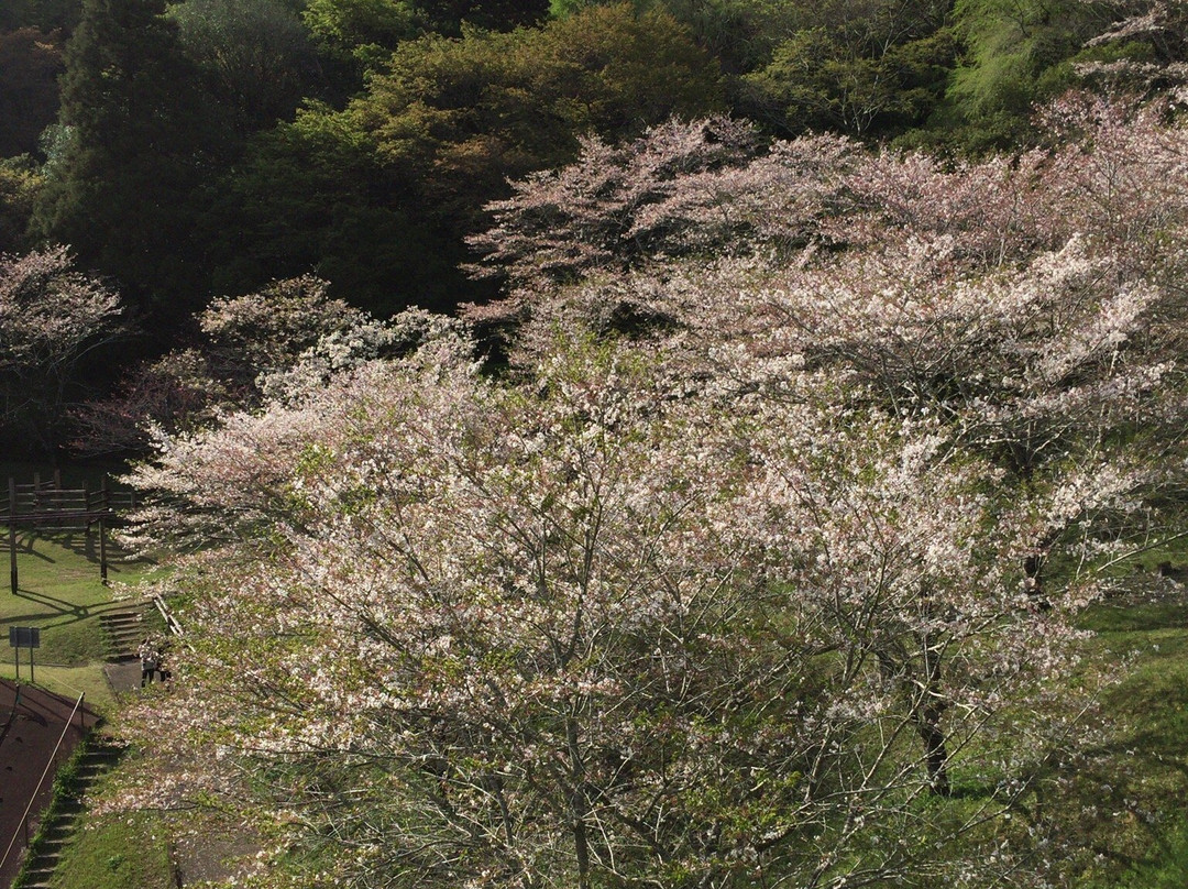 Mochio Park-都城市必去景点