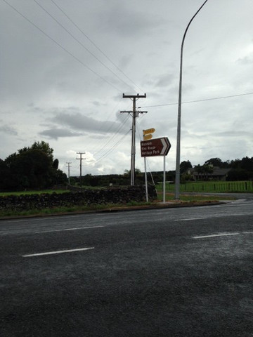 Whangarei Native Bird Recovery Centre-璜加雷必去景点