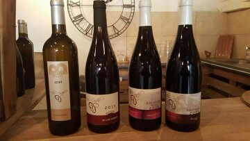 Clos Castell景点图片