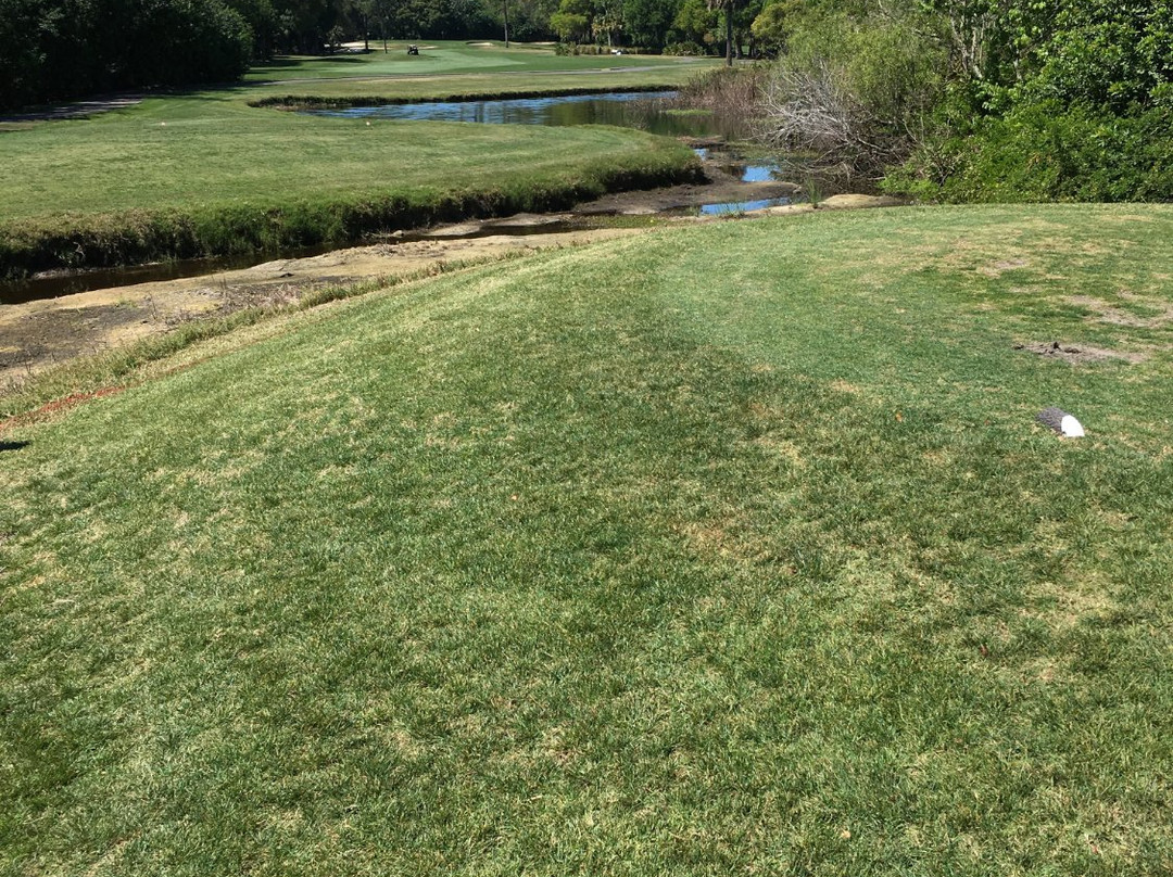 Innisbrook Golf Academy景点图片