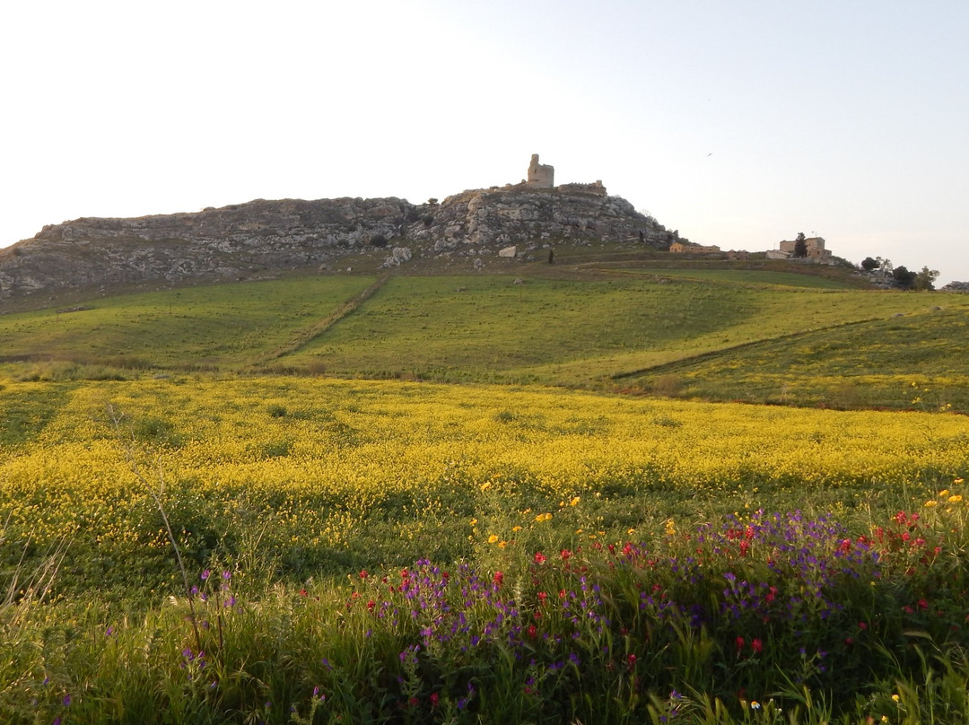 Castello di Mongialino景点图片