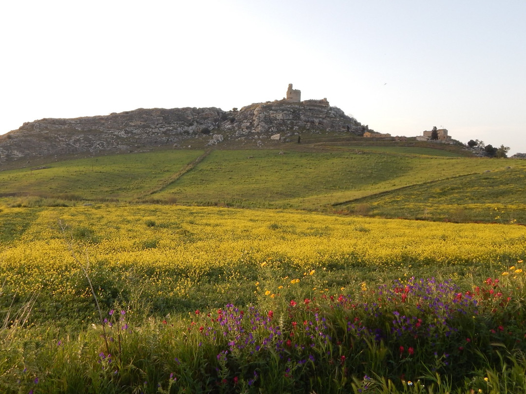 Castello di Mongialino景点图片