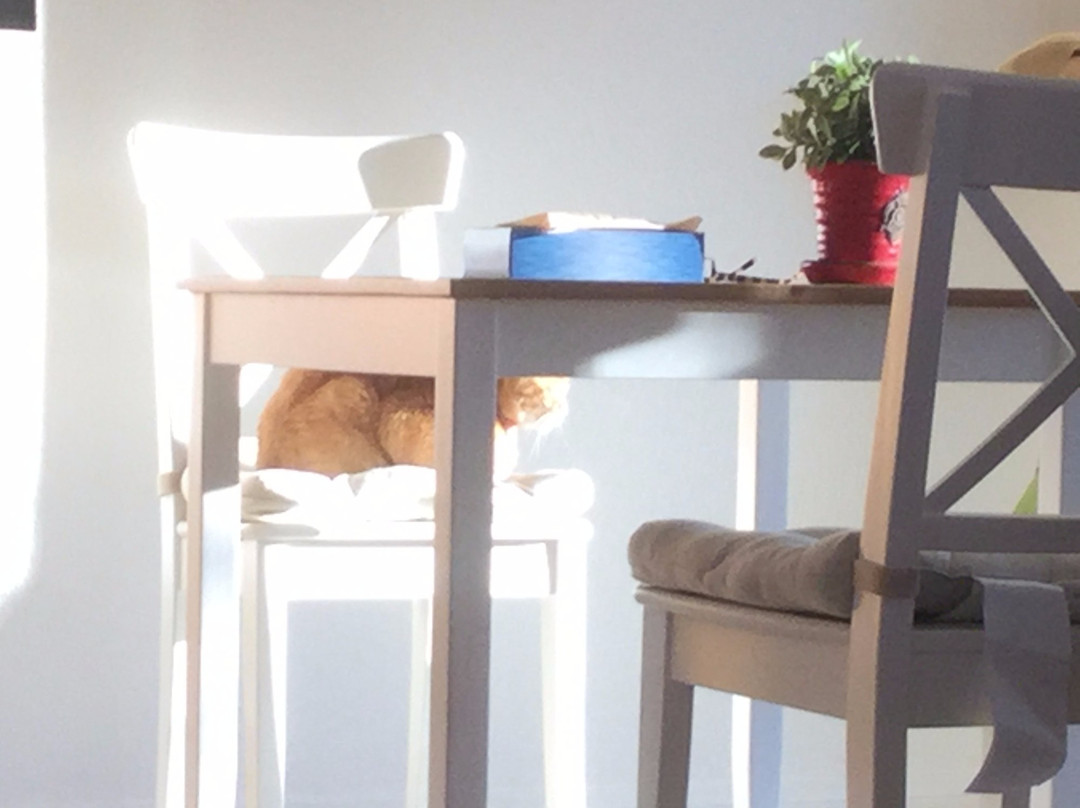 Zippy Shuttle-洛杉矶必去景点