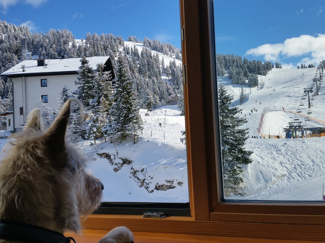 JoSchi Sporthaus Hochkar主图