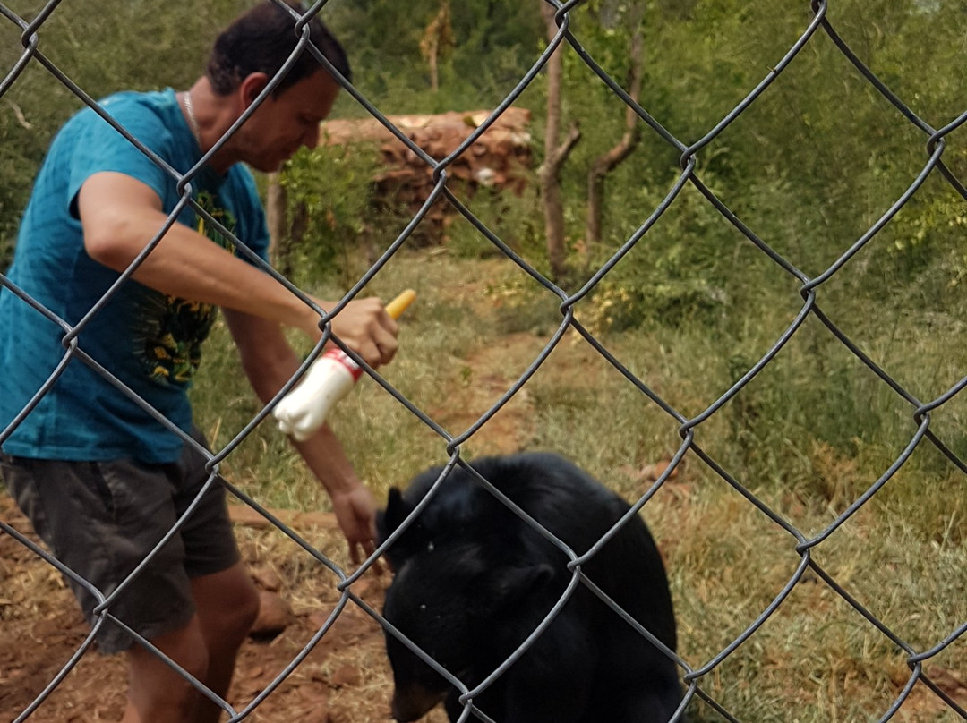 MBIDI Resort & Animal Sanctuary-米德尔堡必去景点