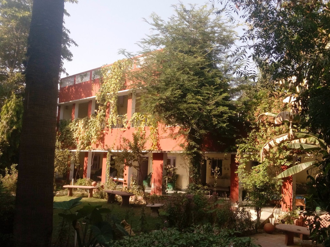 Jungle Lodge