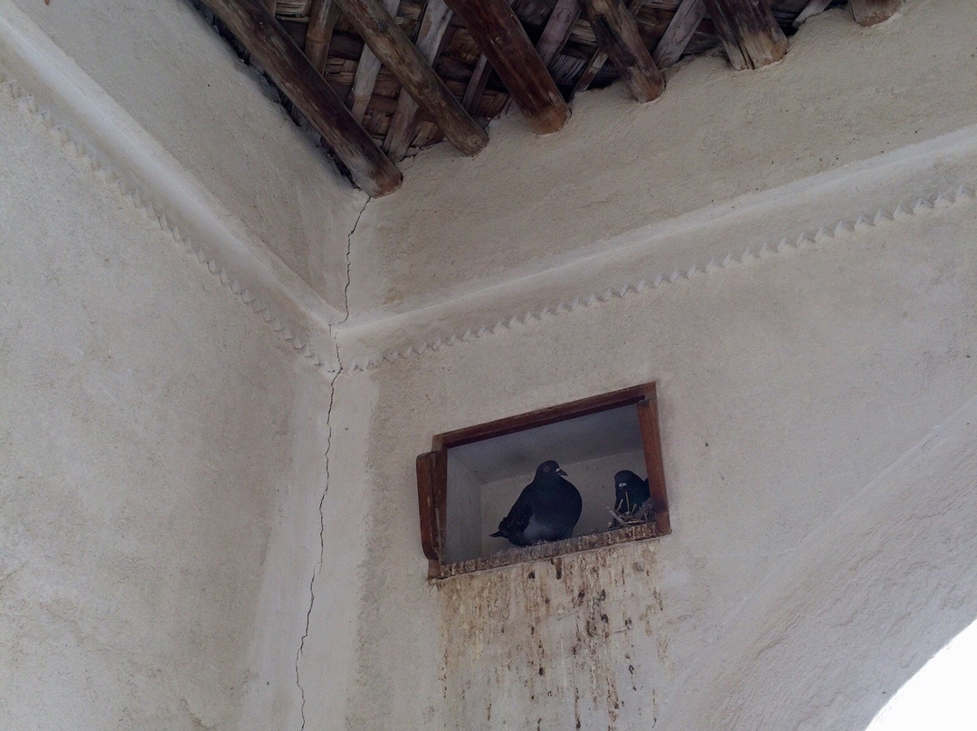 Shaikh Isa bin Ali House-穆哈瑞克必去景点