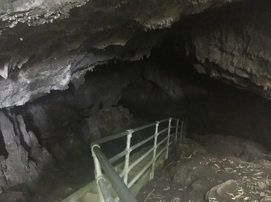 Mangaone Caves Track-Wairoa必去景点