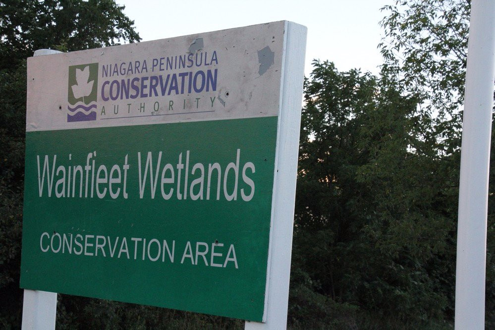 Wainfleet Wetlands Conservation Area-Wainfleet必去景点